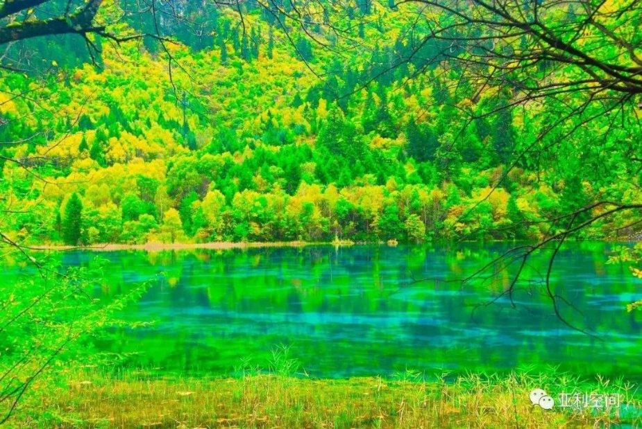 美丽小空姐
