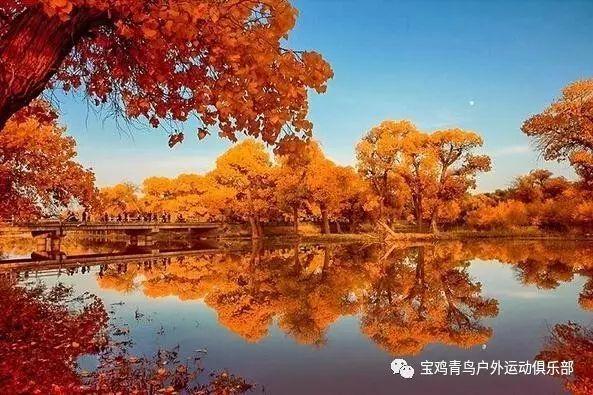 直升机大战