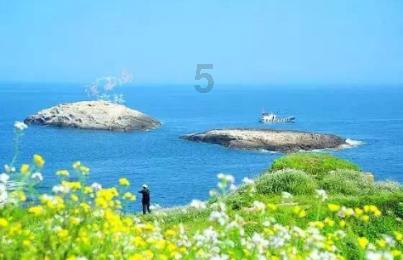 时风集团:2024年两大引擎同时发力