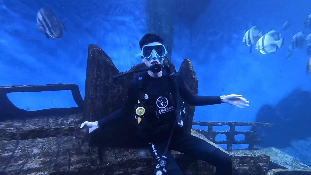 88影视