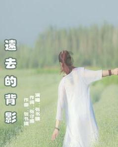 省十四届人大二次会议举行第二次全体会议 王宁王予波石玉钢刘晓凯等出席 听取省人大常委会工作报告
