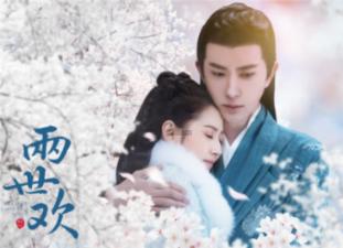 太阁立志传5